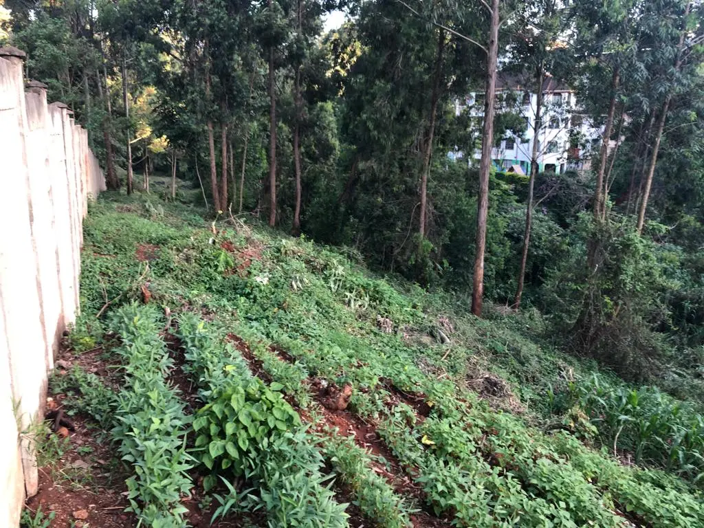 1.7 Acres Land For Sale In Peponi For Sale